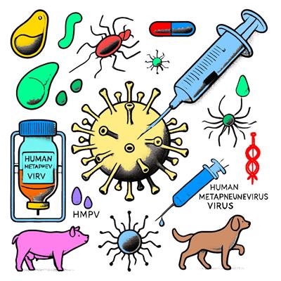 HMPV (Human Metapneumovirus)